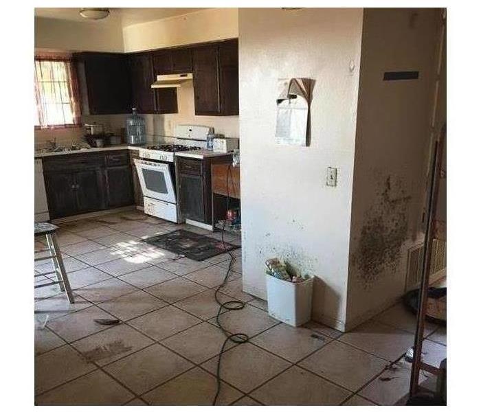 Moldy walls in kitchen.