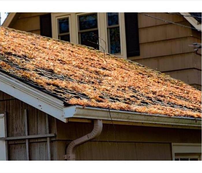 Colored leaves on roof of house.