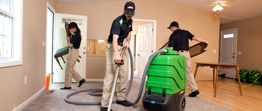 Sterling Heights, MI cleaning services