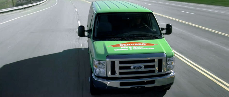 Sterling Heights, MI mold remediation